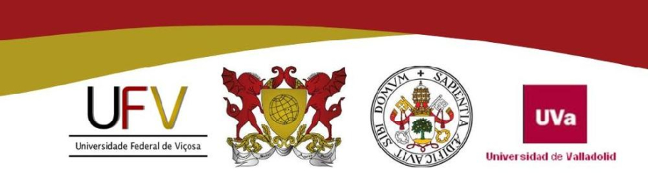 Workshop PARCERIAS INTERNACIONAIS EM PESQUISAS PARA AGROINDÚSTRIA – Convênio Universidade Federal de Viçosa (Brasil) e Universidad de Valladolid (Espanha)